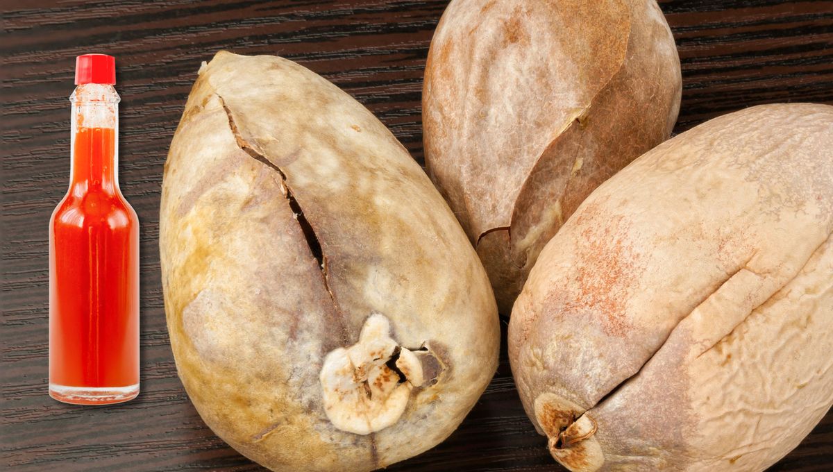 Con un poco de vinagre y un carozo de palta puedes crear un ingrediente único. 