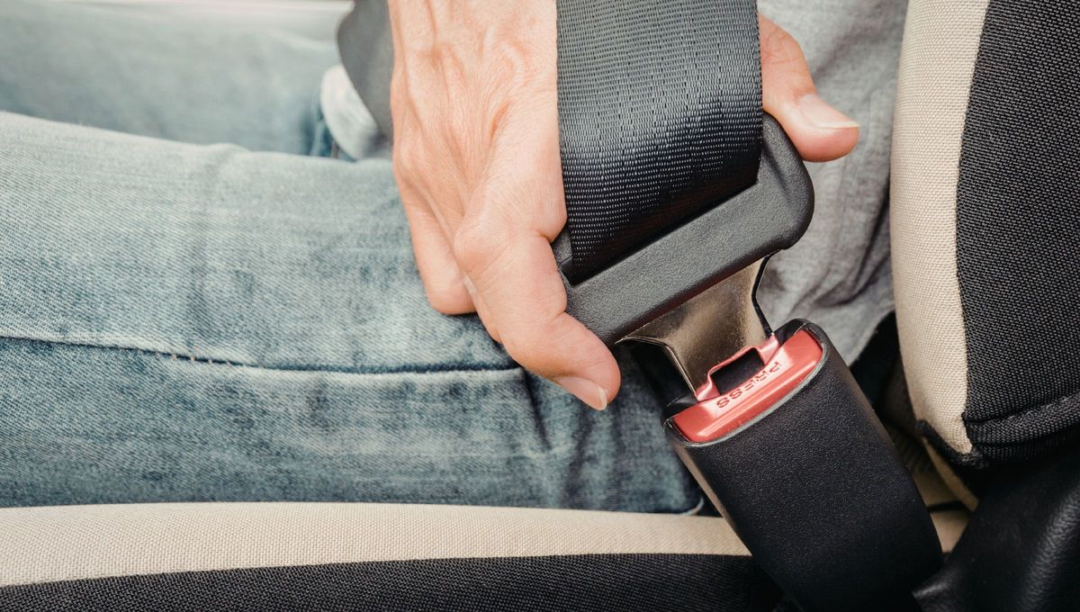 El cinturón de seguridad es el primer elemento que usamos apenas nos sentamos en el auto. El cinturón de seguridad es el primer elemento que usamos apenas nos sentamos en el auto.