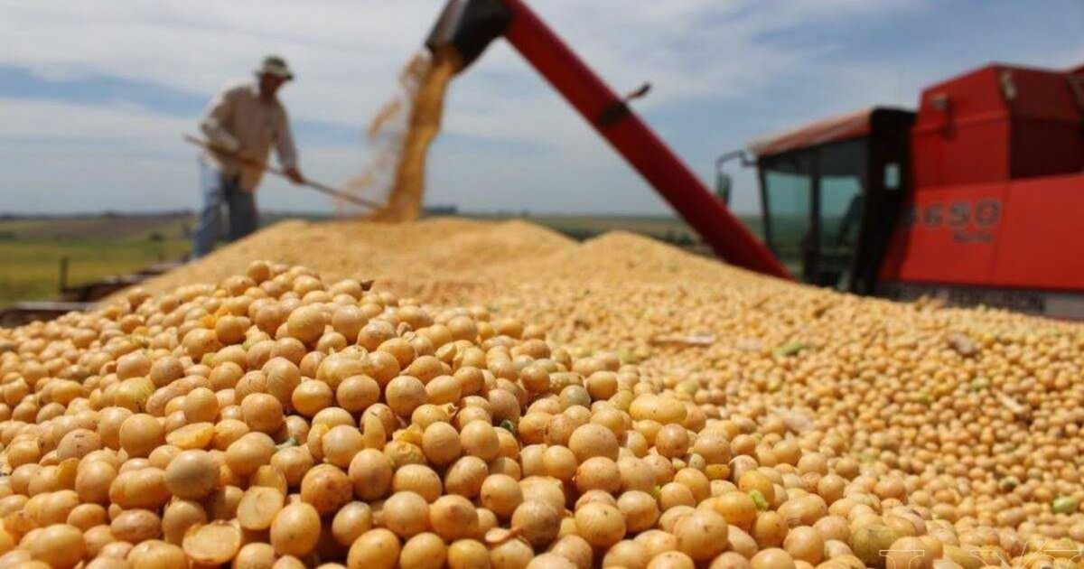 El CAA (Consejo Agroindustrial Argentino) recibió con alivio las nuevas medidas.