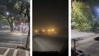 El viento sur dejó 63 árboles caídos y otros daños importantes en Mendoza
