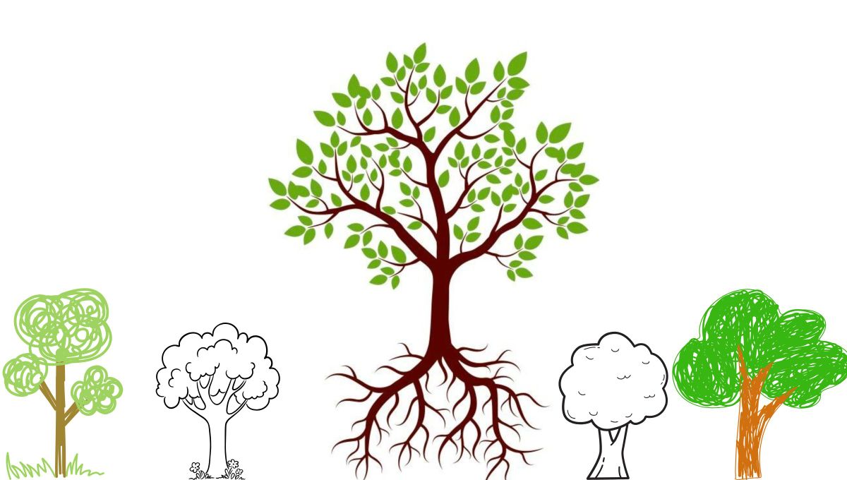 Test psicológico: dime cómo dibujas un árbol y te diré cómo es tu personalidad