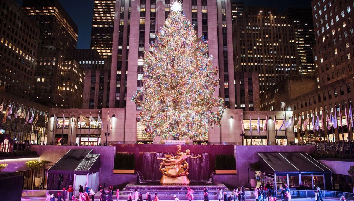 Árbol del Rockefeller Center 2024: de dónde proviene