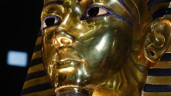 Buscan a Nefertiti