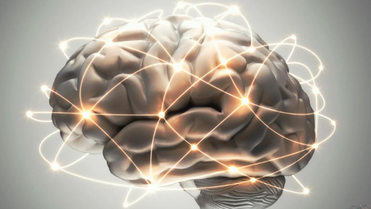 Esta vitamina mejora el cerebro. Esta vitamina mejora el cerebro.