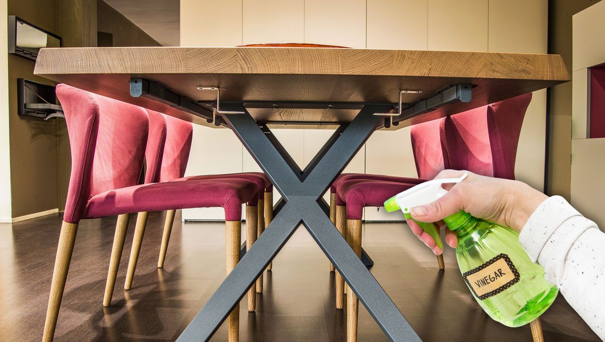 Por qué hay que rociar vinagre debajo de la mesa: ¿qué significa?
