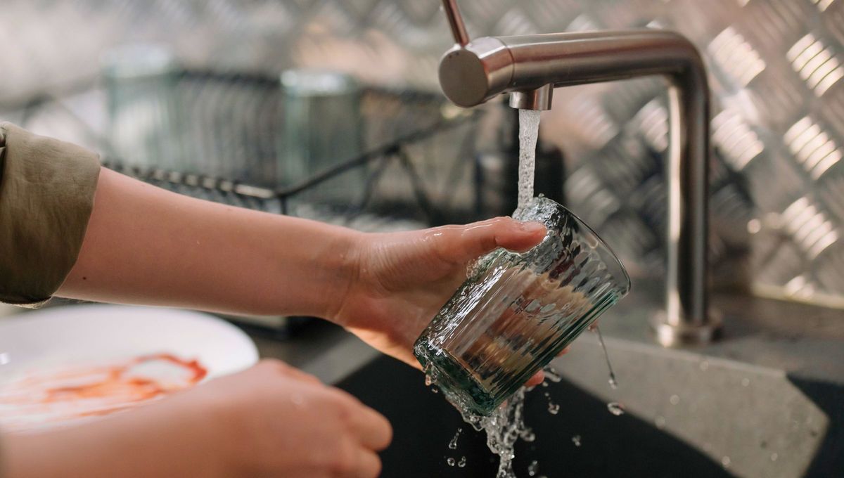 Con estos consejos, podrás eliminar el mal olor de tus vasos y disfrutar de una vajilla impecable y libre de olores desagradables Con estos consejos, podrás eliminar el mal olor de tus vasos y disfrutar de una vajilla impecable y libre de olores desagradables