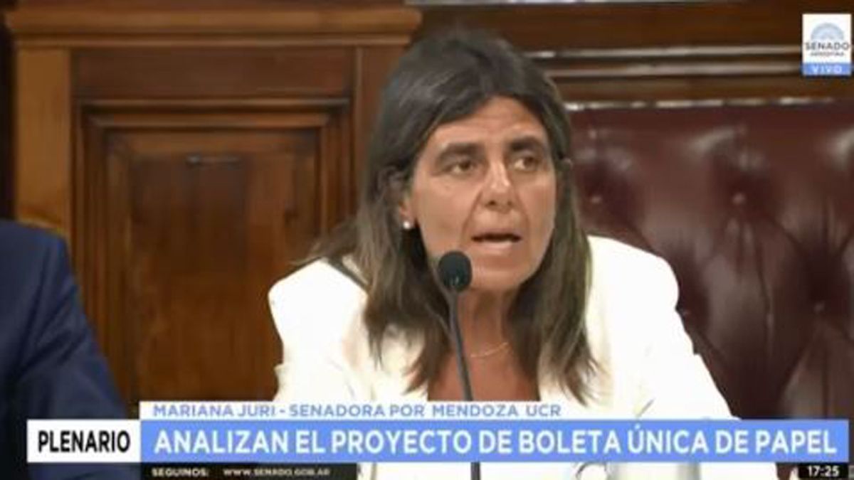 Mariana Juri, senadora nacional por Mendoza. Mariana Juri, senadora nacional por Mendoza.