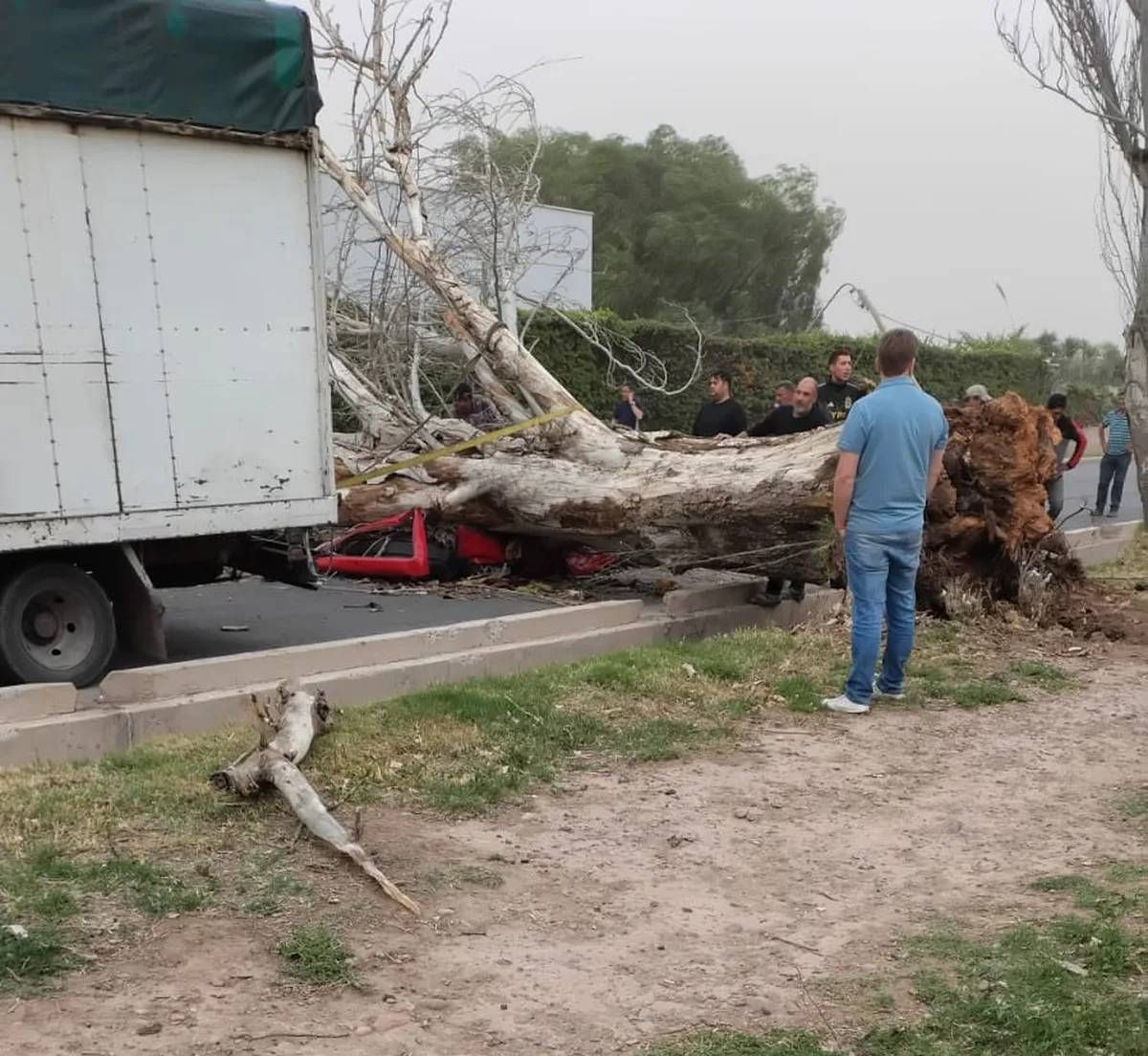 El viento provocó caída de árboles y uno de estos impactó sobre el techo del vehículo en el que viajaba una mujer en Maipú. Ella falleció producto de las heridas. 