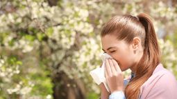 Con esta sencilla infusión, puedes combatir la alergia primaveral.&nbsp;