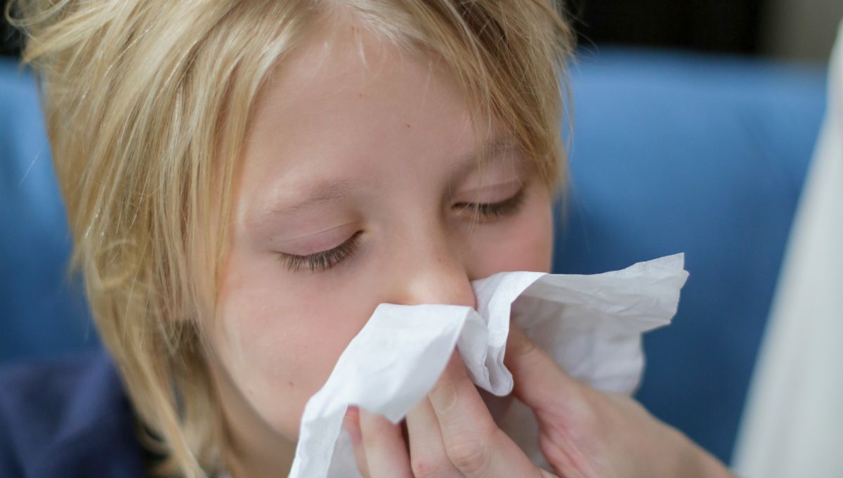 Cómo detener el moqueo nasal cuando empieza el resfriado o la gripe. Fuente: Canva.