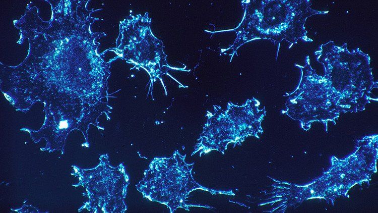Por qué EE.UU. se interesa por una vacuna cubana contra el cáncer