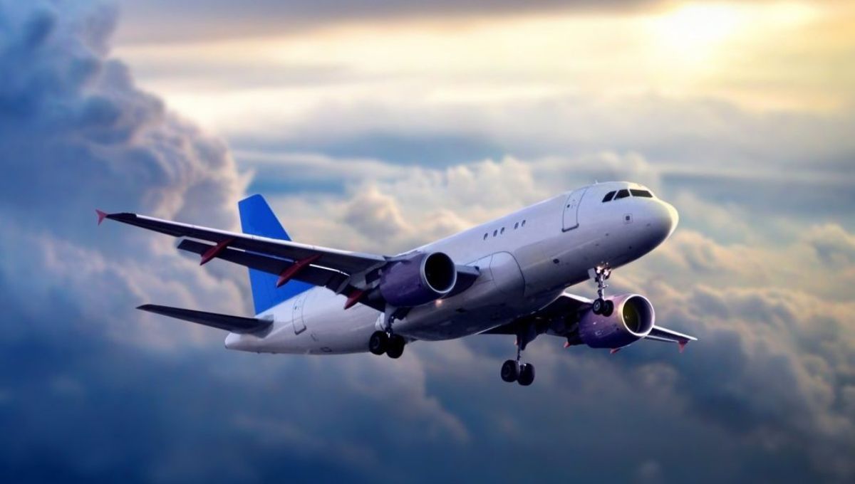 Los pasajeros pueden solicitar un certificado que acredite su vuelo en esta ruta récord Los pasajeros pueden solicitar un certificado que acredite su vuelo en esta ruta récord