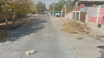 Documentan cómo un móvil de Google Maps atropella a un perro