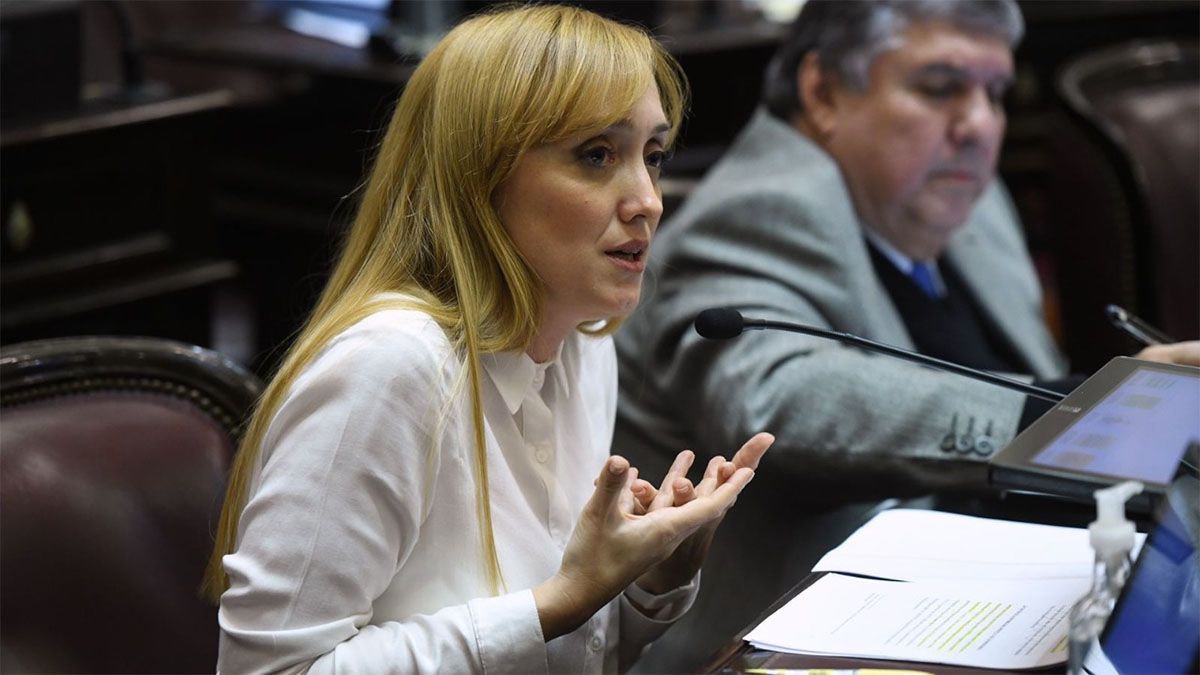 Anabel Fernández Sagasti habló sobre el atentado a Cristina Kirchner.