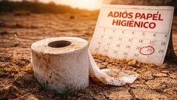 Adiós al papel higiénico: Japón pone de moda una alternativa más efectiva y ecológica Adiós al papel higiénico: Japón pone de moda una alternativa más efectiva y ecológica