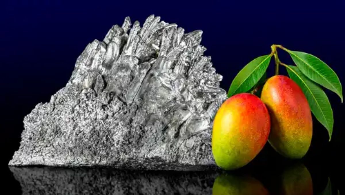 Científicos de Singapur mezclan hojas de árbol de mango y magnesio para crear un metal resistente que amortigua vibraciones