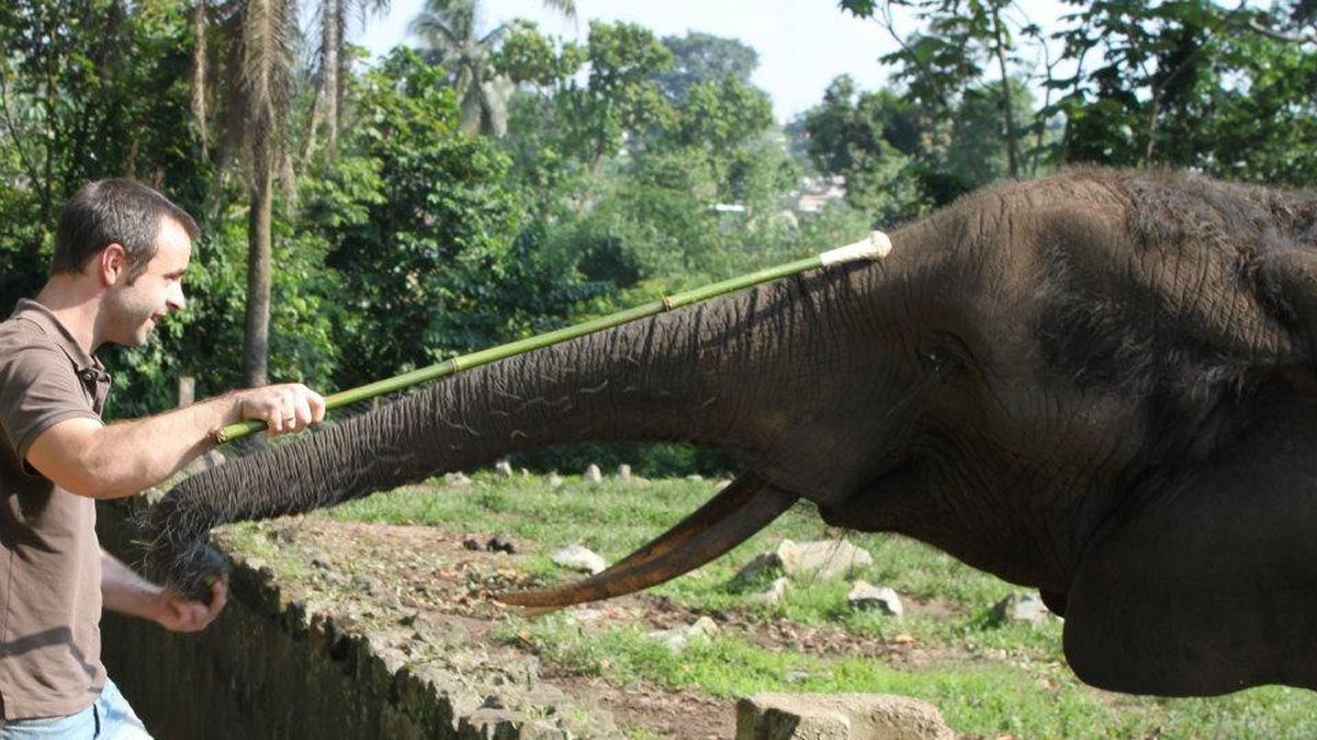 Ahora Ingo tiene el foco en Kuki y Pupi, las dos elefantas africanas que están en el Ecoparque de Buenos Aires. Luego regresará a Mendoza para buscar a Kenya, otra africana.