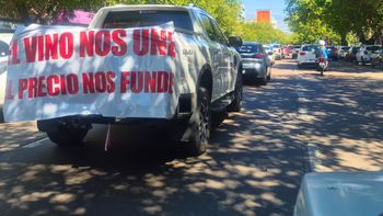 Quieren declarar a la vitivinicultura de Mendoza en emergencia Quieren declarar a la vitivinicultura de Mendoza en emergencia