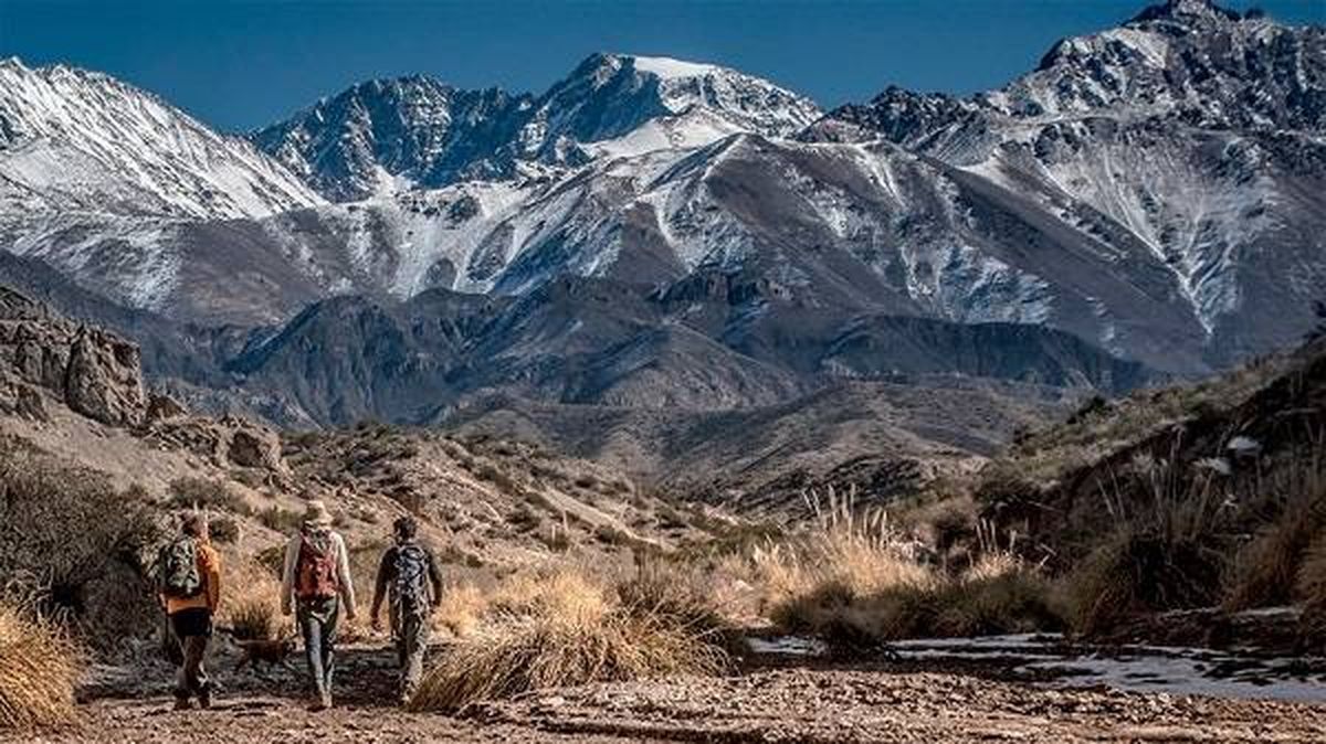 Donde hoy está la Cordillera de los Andes hubo lagos con cocodrilos y tortugas, confirmó estudio del Conicet