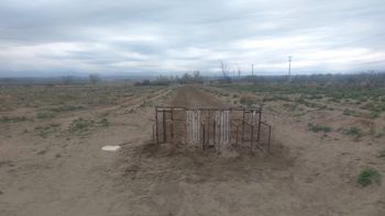 Fue clausurada una reunión con carreras de galgos en Tupungato
