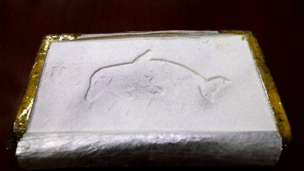 Se incautaron ladrillos de cocaína con el sello de delfín, característico de la zona de elaboración en Bolivia y que indica la pureza de la droga. Se incautaron ladrillos de cocaína con el sello de delfín, característico de la zona de elaboración en Bolivia y que indica la pureza de la droga.
