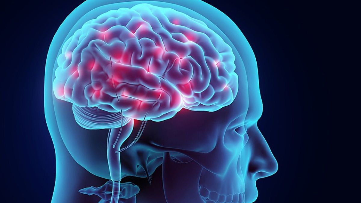 Identificaron alteraciones en mecanismos cerebrales que originar depresión, ansiedad y estrés