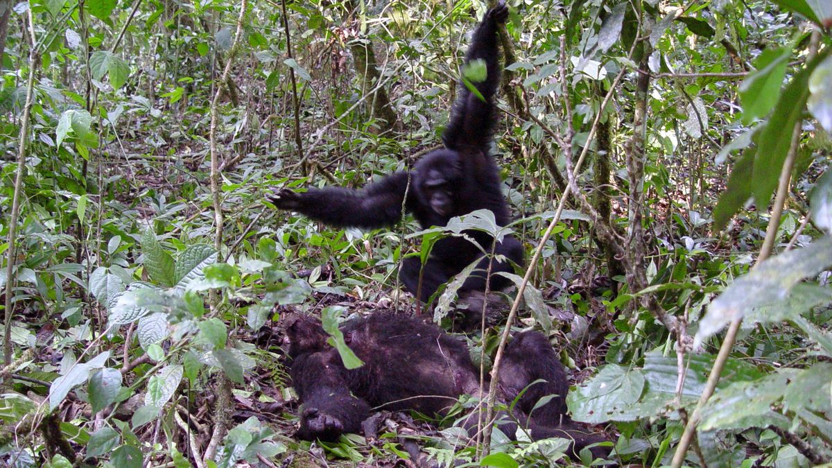 Descubrimiento científico: la primera 