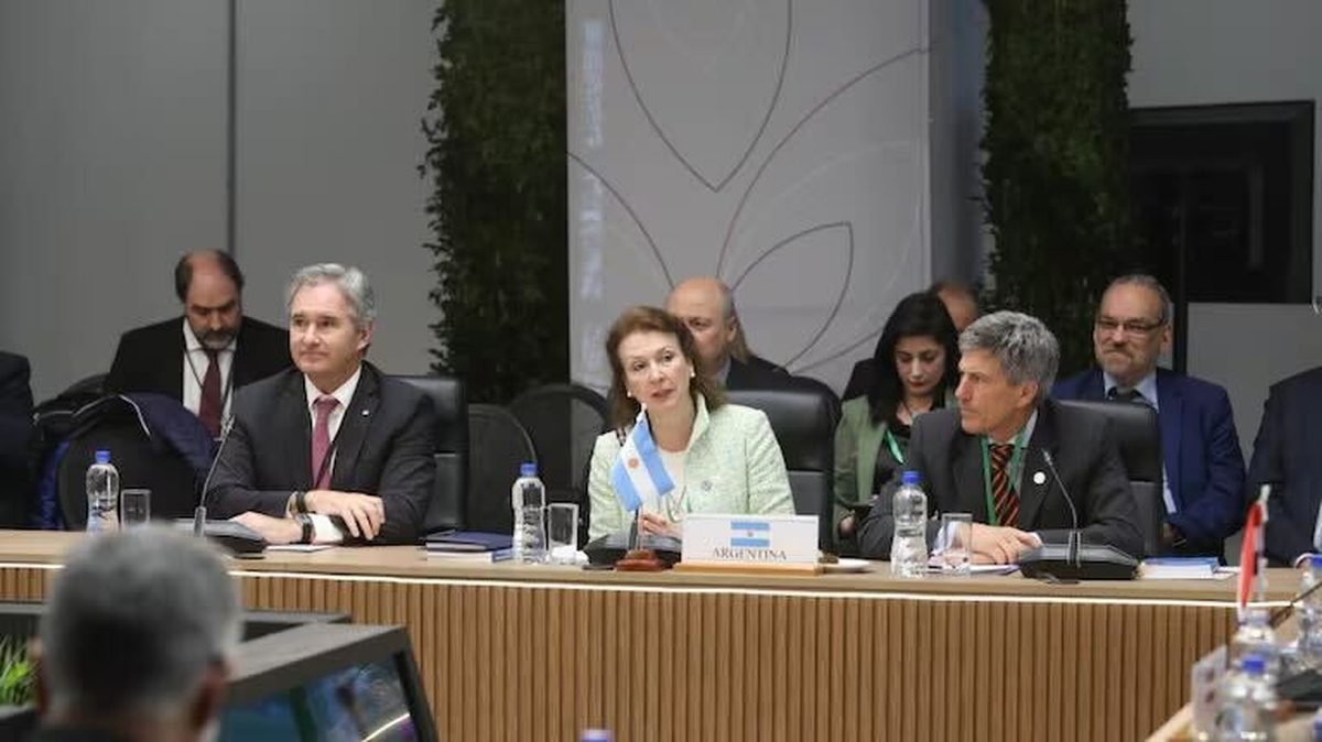 Diana Mondino había adherido al Pacto del Futuro en la ONU pero ahora Argentina se desanganchará (Foto: Cancillería)