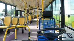 Subió sin pagar pasaje: el perrito mendocino que se adueñó del colectivo vacío y no se quiere bajar