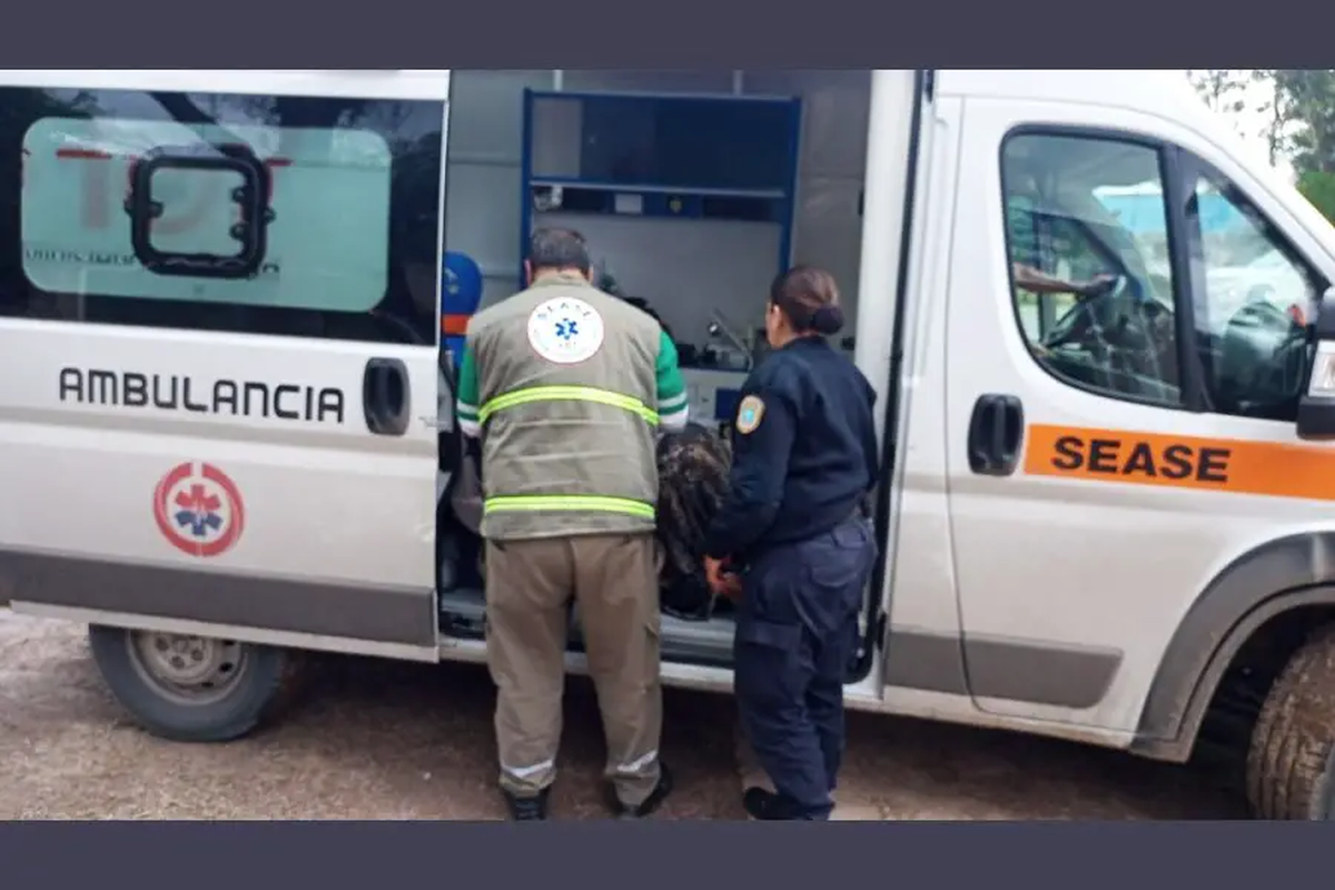 Una mujer le fracturó la cadera a su hijo de dos años porque no la dejaba ver la novela. Una mujer le fracturó la cadera a su hijo de dos años porque no la dejaba ver la novela.