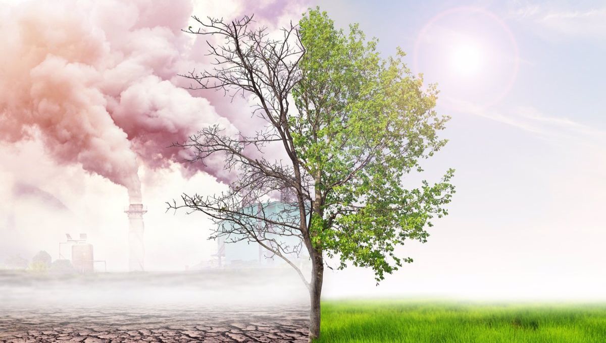 Según un nuevo estudio el cambio climático disminuye el suministro global de sangre