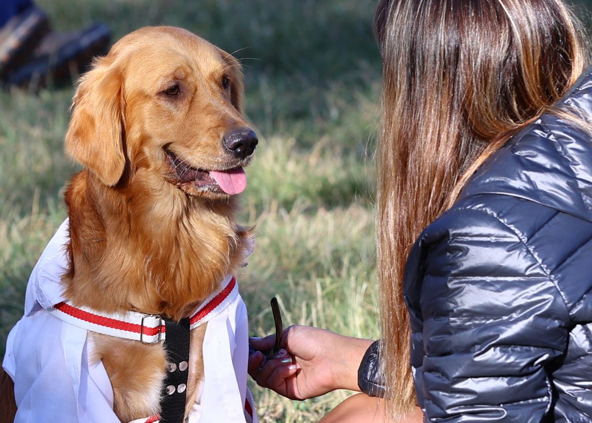 El móvil veterinario continúa recorriendo los distritos de Maipú
