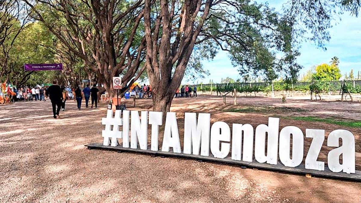 El INTA de Mendoza comenzará con el remate de vehículos.