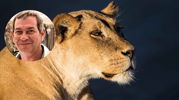 El empresario que amaba la naturaleza y encontró el peor final bajo las garras de una leona El empresario que amaba la naturaleza y encontró el peor final bajo las garras de una leona