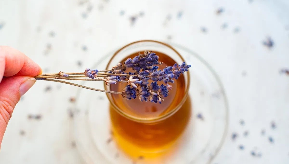 Qué beneficios tiene tomar té de lavanda
