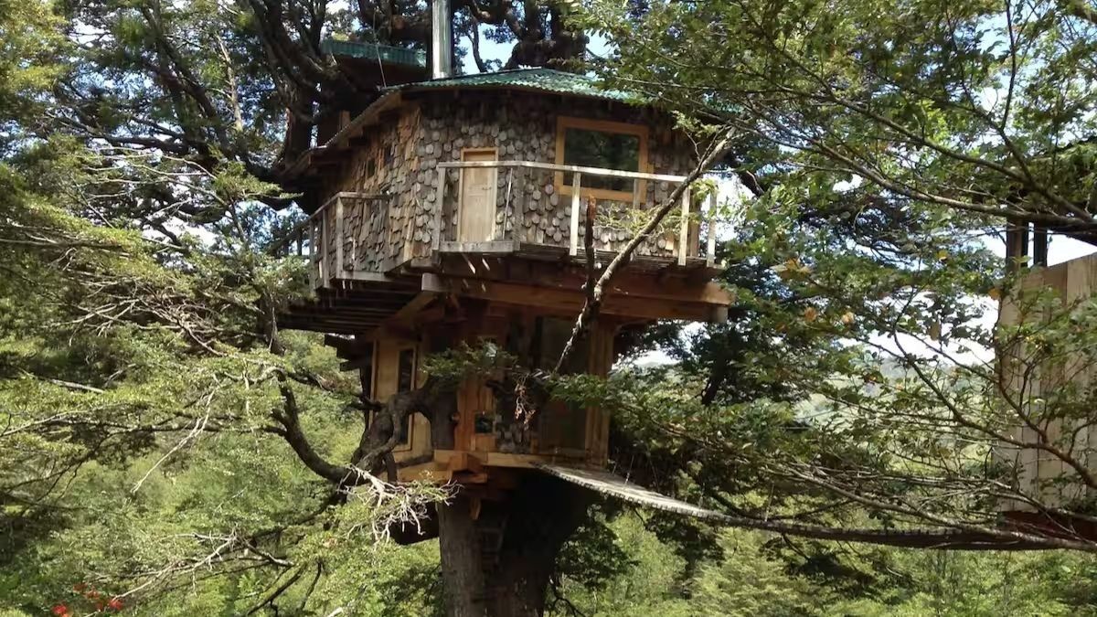 La casa del árbol en Chile para pasar las vacaciones. Fuente: Canva.
