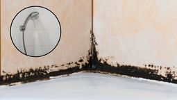 Un truco para eliminar el moho de la ducha usando un poco de vinagre. Un truco para eliminar el moho de la ducha usando un poco de vinagre.