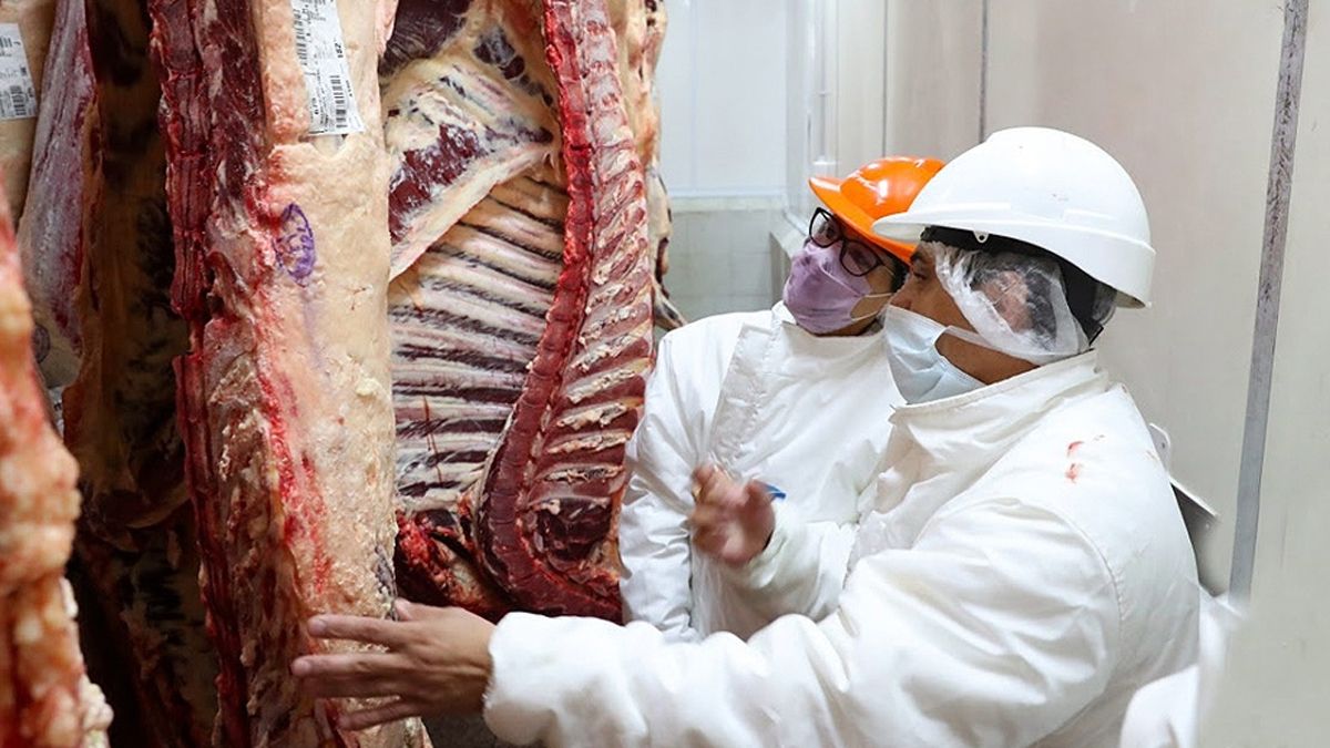 Alberto Fernández dijo que el límite de las exportaciones está dando resultados.