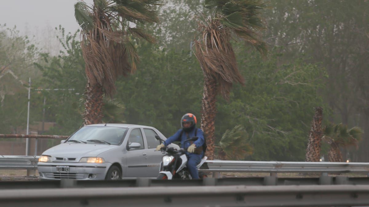Tomá las medidas necesarias para cuidarte. Tomá las medidas necesarias para cuidarte.