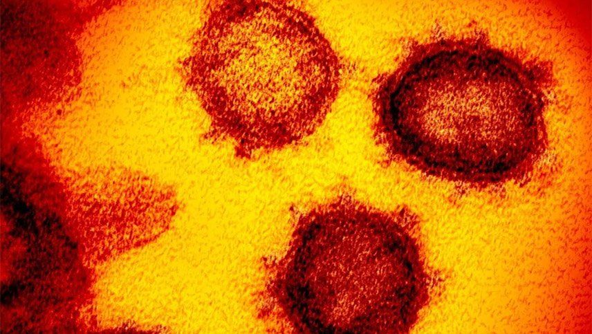 Revelan la aparición de un nuevo virus más mortal que el coronavirus y que ya mató casi a 2.000 personas