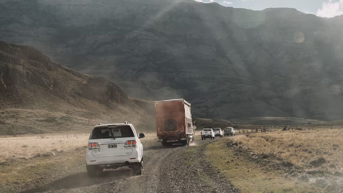 Así trasladaron a estos 15 animales hacia Chile.