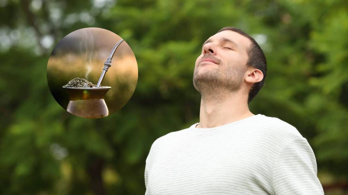 Qué hierba agregarle al mate para calmar la depresión.