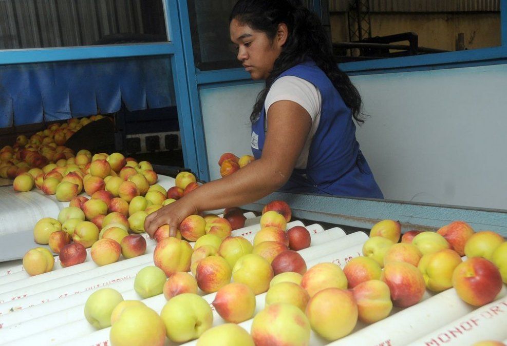 El ministro de Economía apura una ley clave para el campo mendocino
