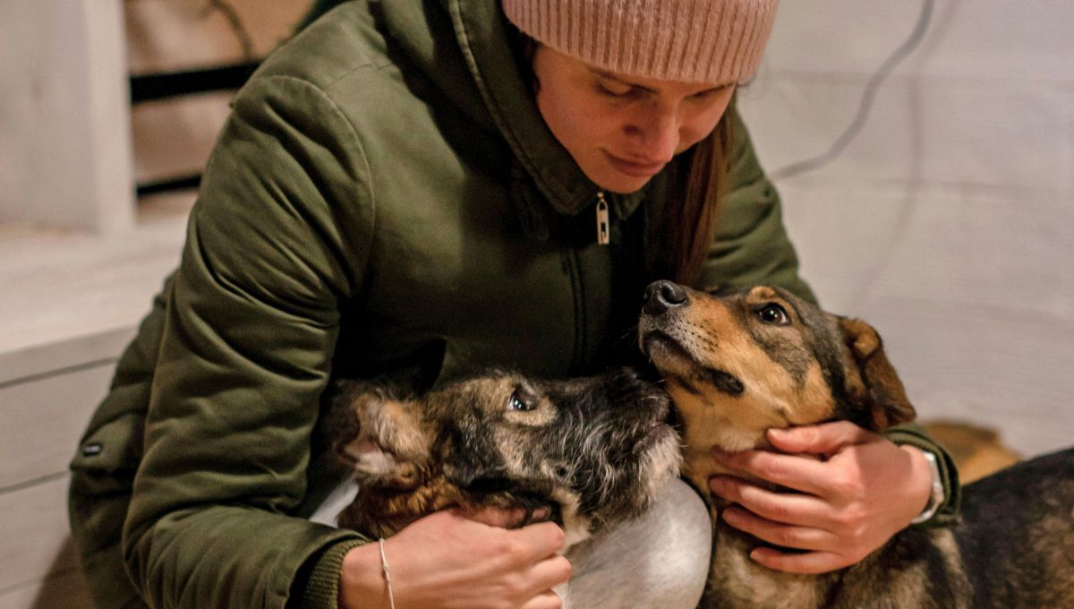 En ciertos casos, las personas con estos rasgos de personalidad prefieren las mascotas antes que las personas.