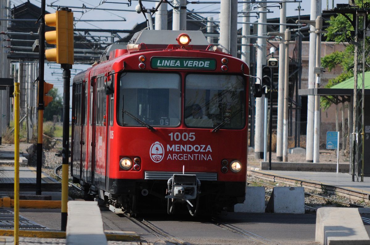 Tormenta en Mendoza: el servicio de Metrotranvía fue interrumpido por la caída de árboles