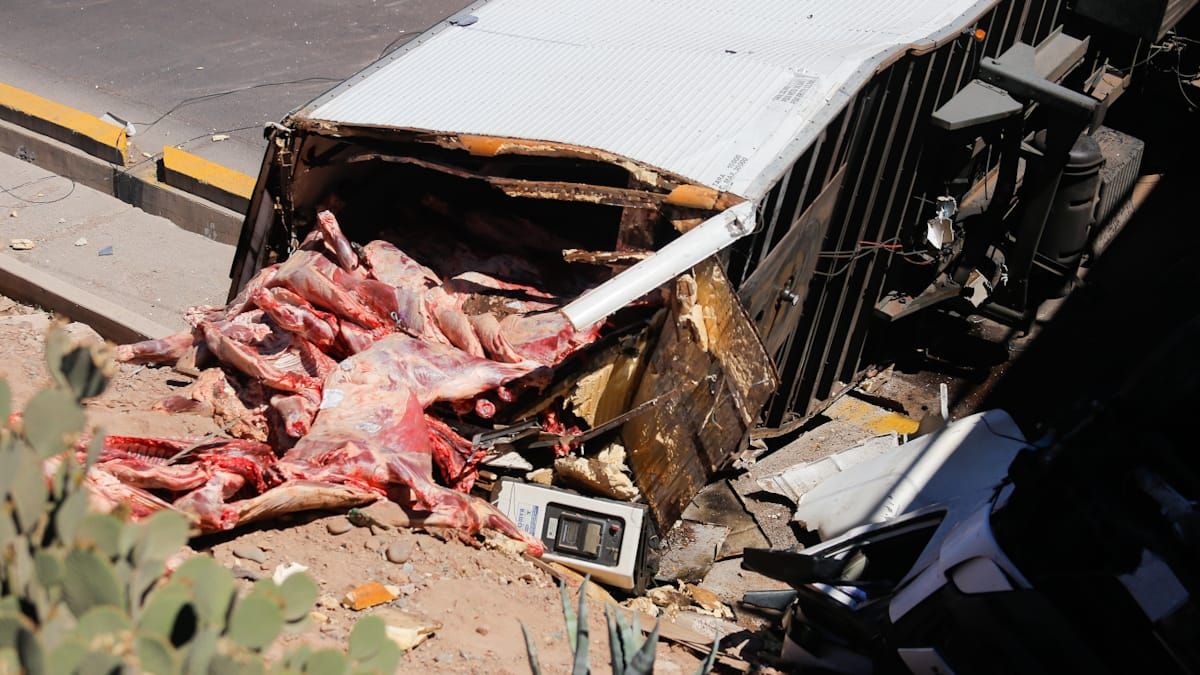 Eran 7.000 kilos de carne de toro los que se perdieron tras el accidente del camión en Acceso Este y Cañadita Alegre, de Guaymallén. Eran 7.000 kilos de carne de toro los que se perdieron tras el accidente del camión en Acceso Este y Cañadita Alegre, de Guaymallén.