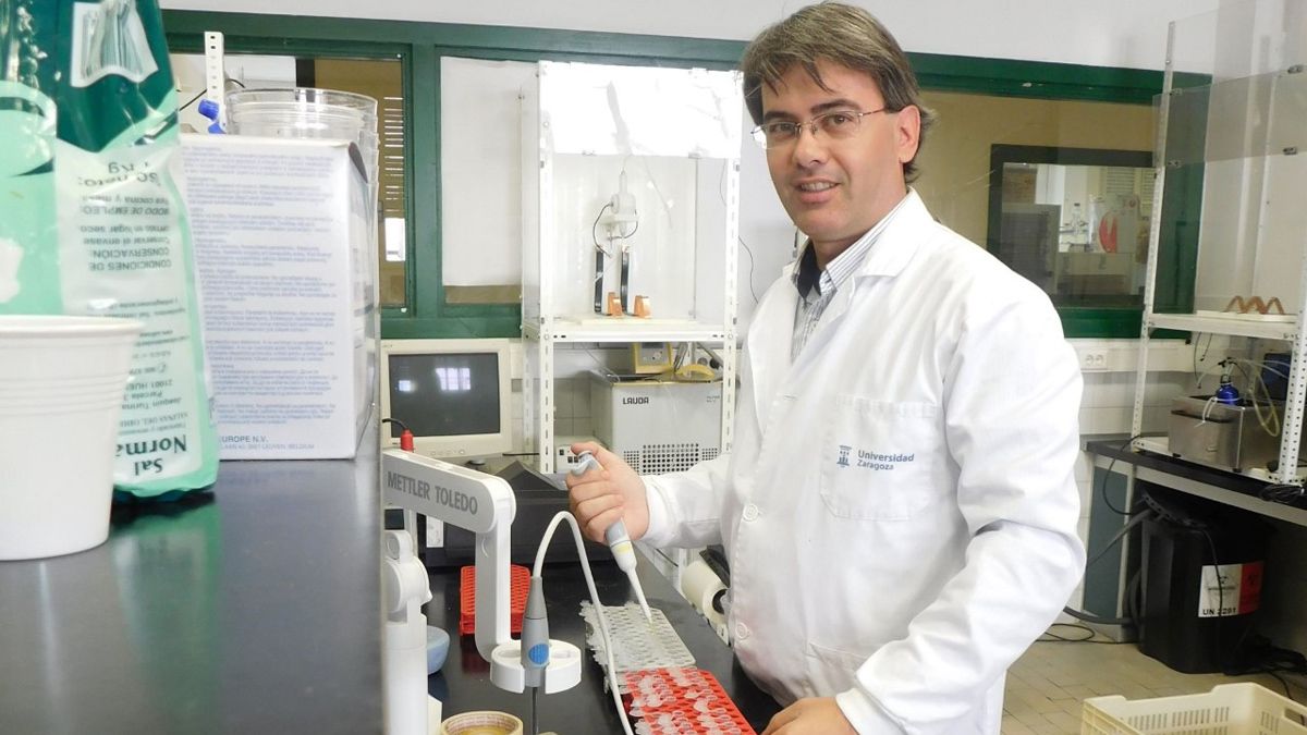 Marcos Maza en los laboratorios del Departamento de Producción Animal y Tecnología de los Alimentos de la Universidad Zaragoza.