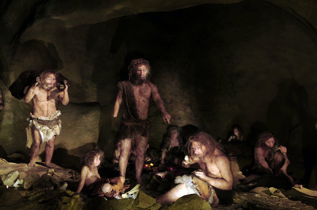 ¿Es posible que los neandertales no se hayan extinto? ¿Es posible que los neandertales no se hayan extinto?