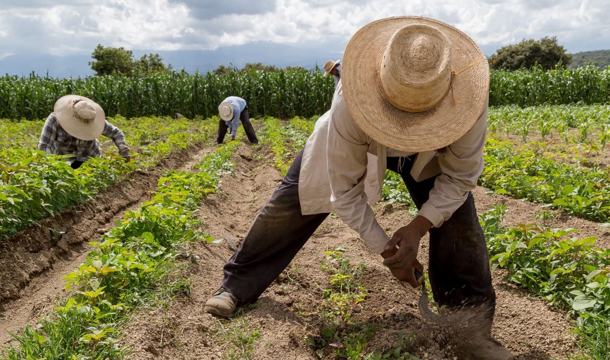 Estos datos tienen como objetivo mostrar qué roles deben abordarse con cuidado y alentar a los empleadores de estas ocupaciones a revaluar los estándares de seguridad Estos datos tienen como objetivo mostrar qué roles deben abordarse con cuidado y alentar a los empleadores de estas ocupaciones a revaluar los estándares de seguridad