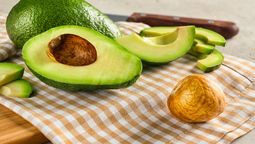 Quien tenga un carozo de palta en su casa tiene un tesoro en sus manos: por qué y para qué sirve ahora Quien tenga un carozo de palta en su casa tiene un tesoro en sus manos: por qué y para qué sirve ahora